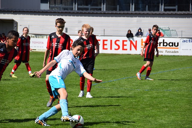 球迷们将可 球迷们将可