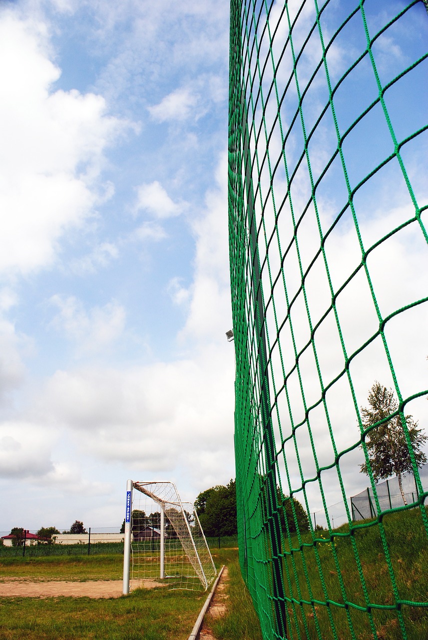 球员的自由 球员的自由