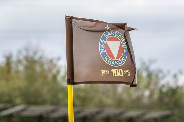 盧卡斯因傷 盧卡斯因傷