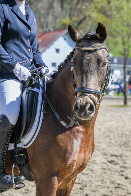 考验心理和 考验心理和